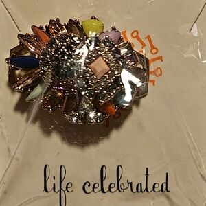 Keep Collective Shades Of You Rose Gold Focal Charm Slider ~ NIB